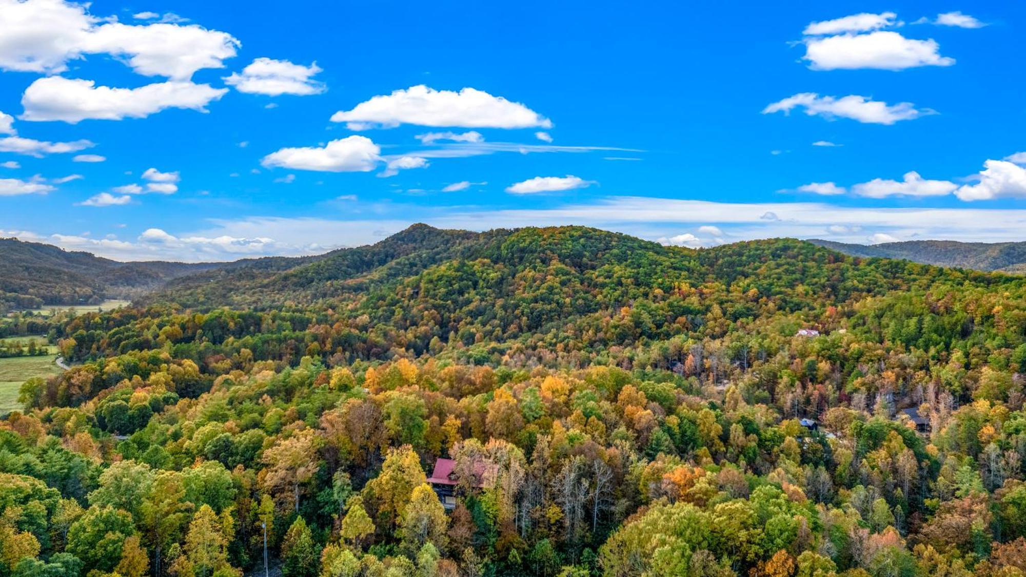 Relaxation Retreat - Pickleball Cabin - Wi-Fi, Fire Pit With Bar, Ev, Game Room, Hot Tub, Pool Access - Mins To Pf سيفيرفيل المظهر الخارجي الصورة